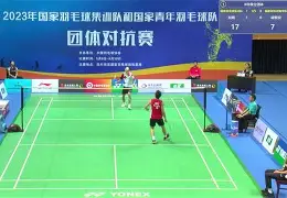 形容羽毛球比赛精彩的句子   形容羽毛球比赛精彩的句子